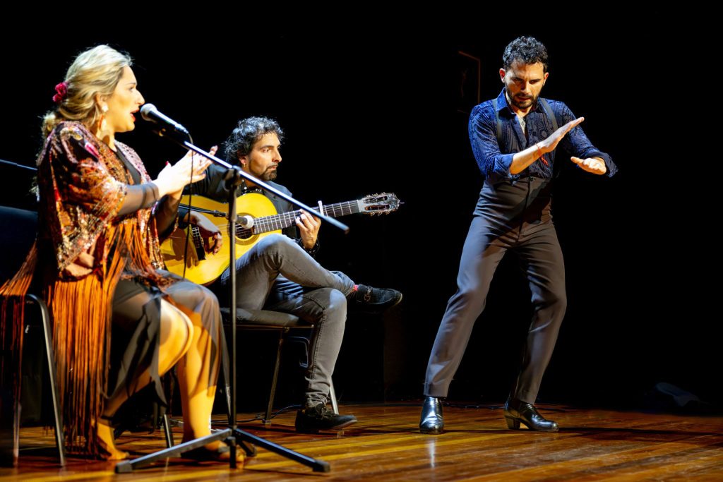 Grabaciones y Fotografías de Teatro, Danza, Conciertos y ESPECTÁCULOS